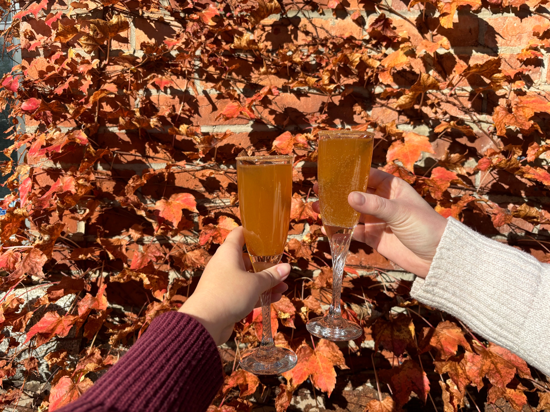 Make These Tasty Apple Cider Mimosas This Fall!,Vermont Real Estate Company