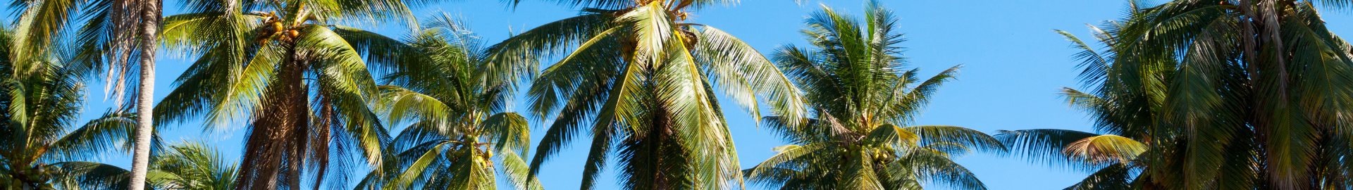 6 State Parks in Tampa Bay