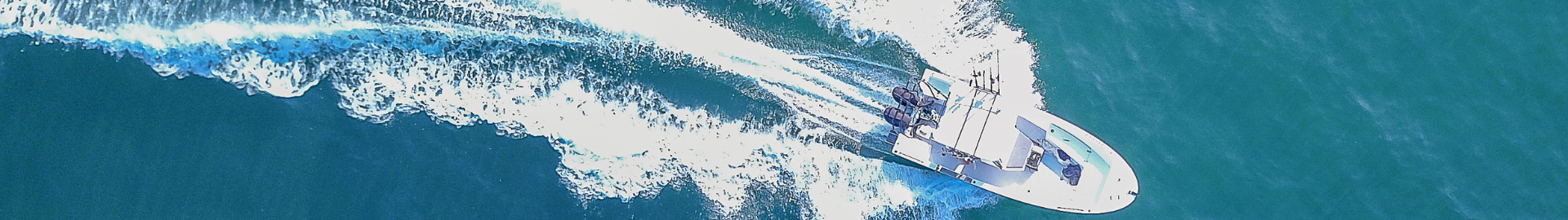 Embark on an Unforgettable Adventure: Fun Day Cruises Out of Tampa