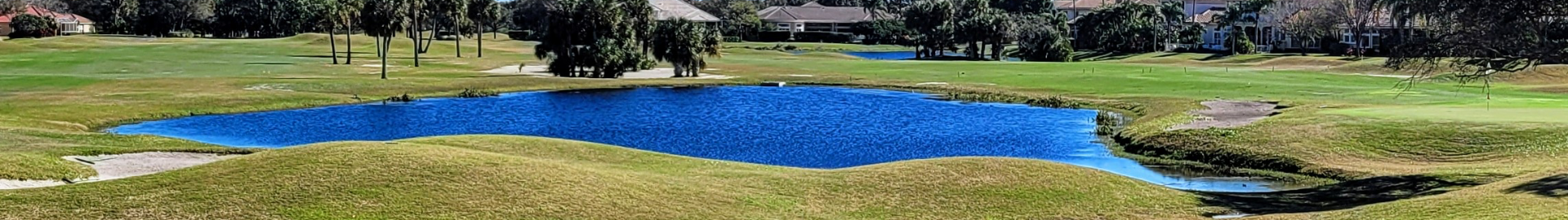 Top Golfing Destinations in Tampa Bay