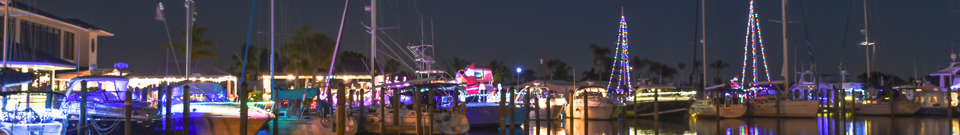 Festive Fun in the Sun: Holiday Events in the Tampa Bay Area