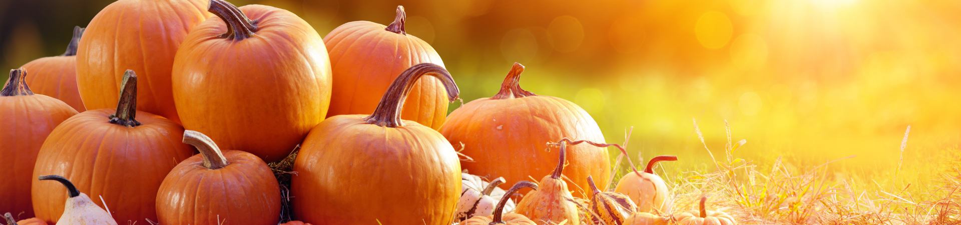 Fall Events