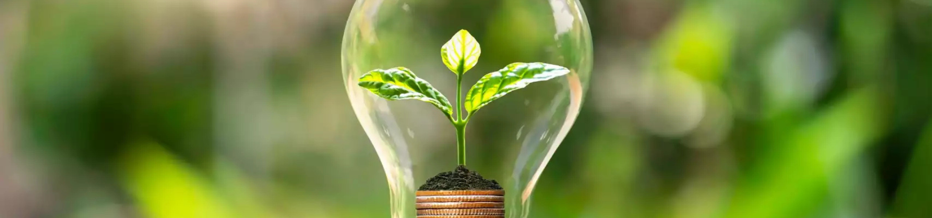 Top 10 Summer Energy-Saving Tips