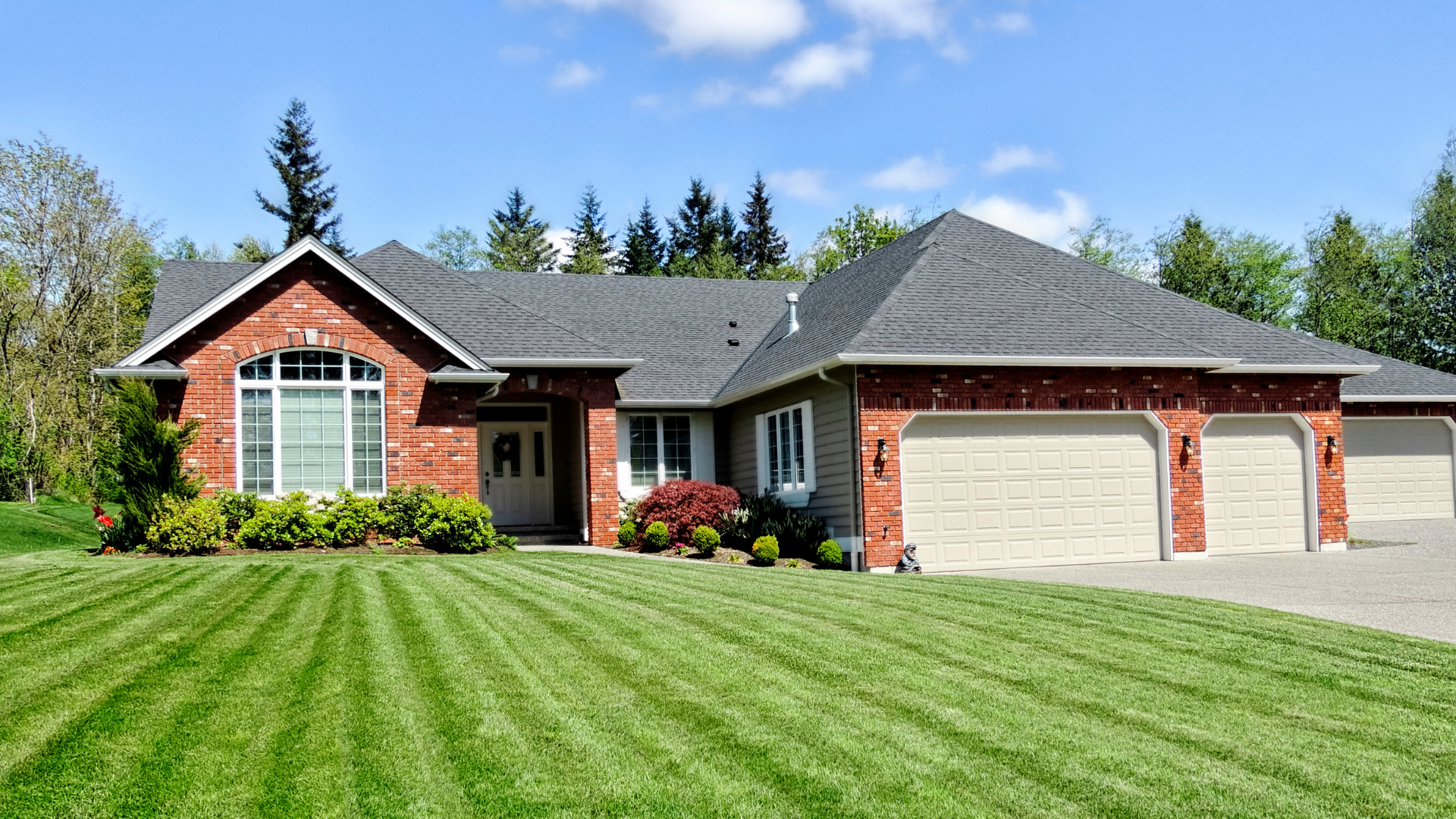 feature image of Level Up Your Lawn Care with These Tips