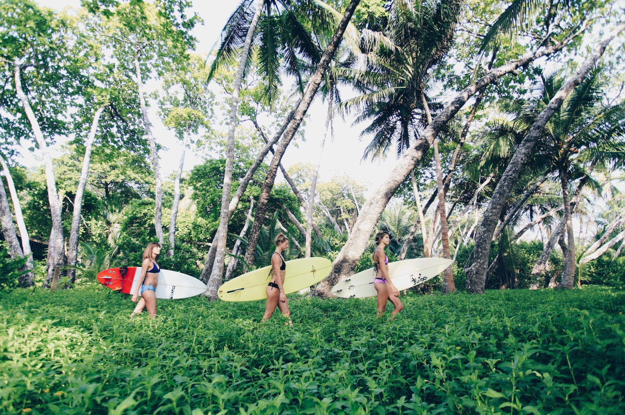 Embracing the Pura Vida: Living in Santa Teresa, Costa Rica