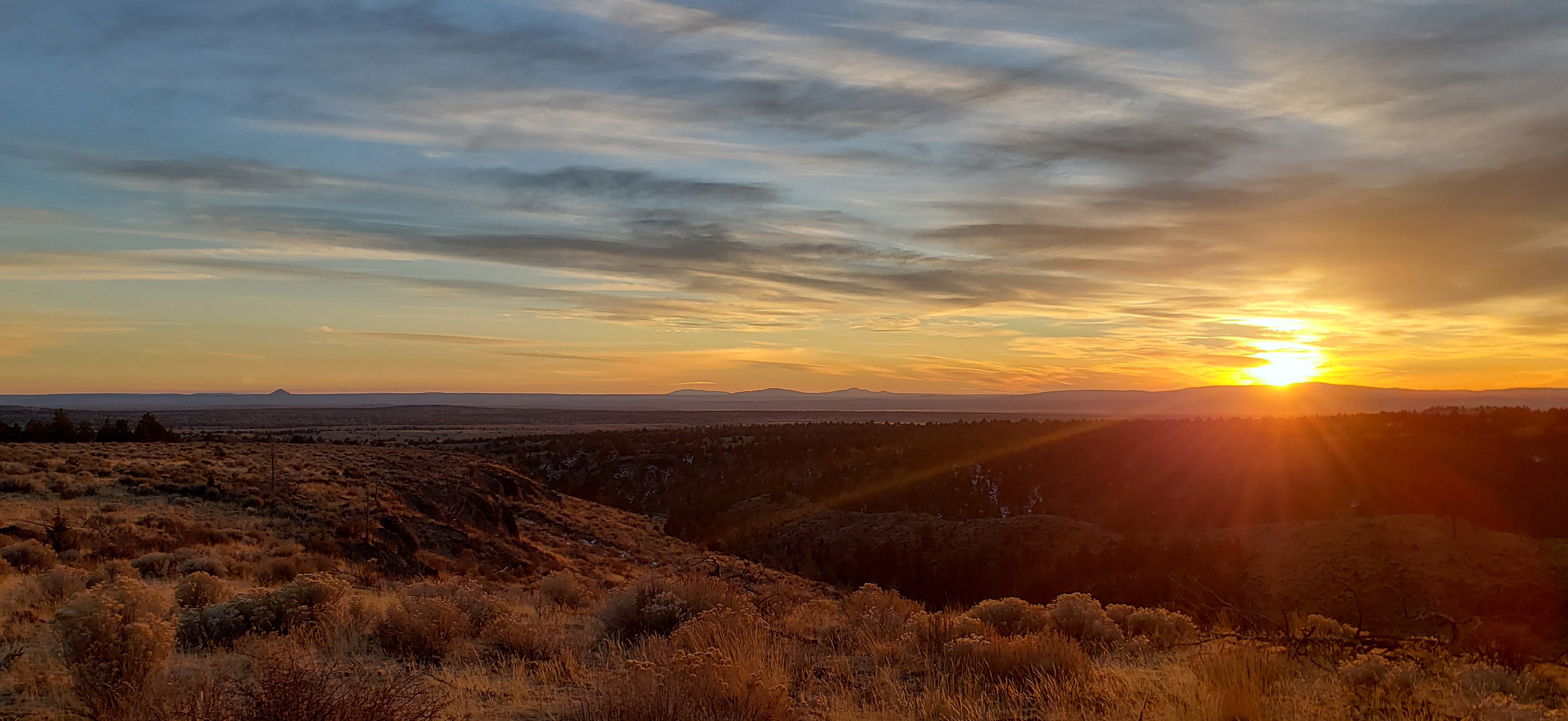Douglas County Real Estate Market Trends for July 2025