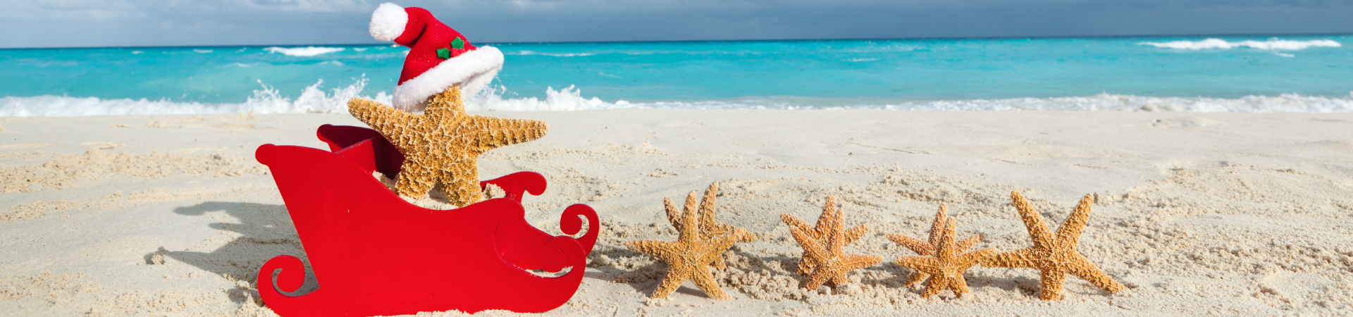 starfish in santa sleigh on beach