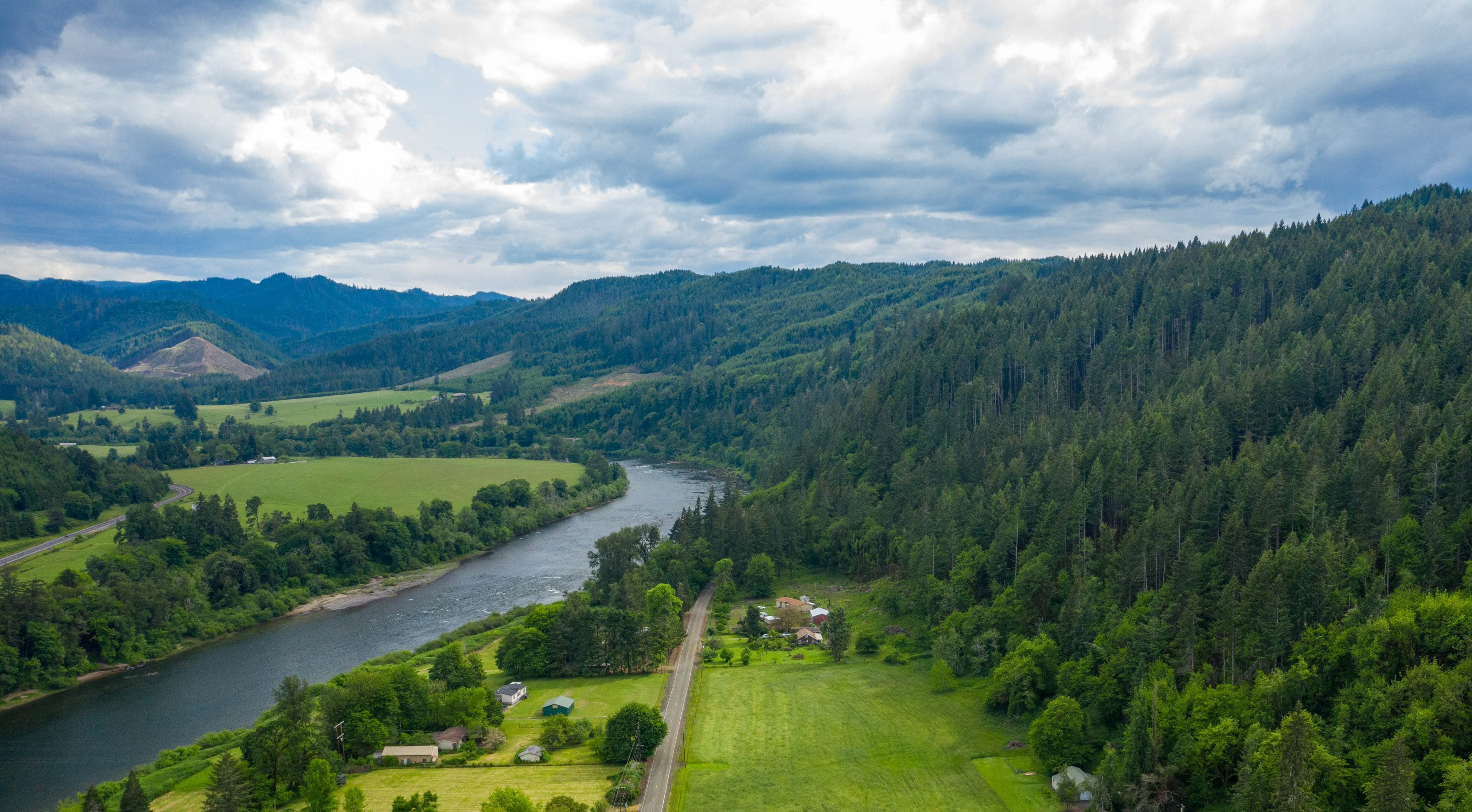 Douglas County Real Estate Market Trends for January 2026