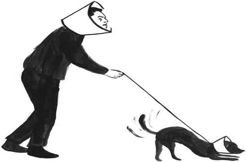 Why I’m Jealous of My Dog’s Insurance