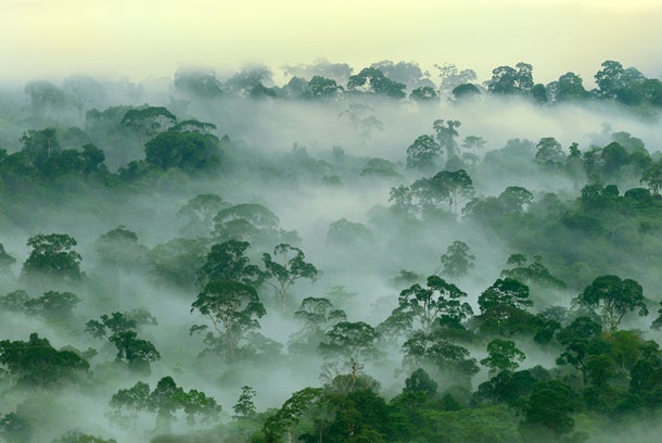 The Rise of Conservation Real Estate in Costa Rica