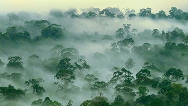 The Rise of Conservation Real Estate in Costa Rica The Rise of Conservation Real Estate in Costa Rica