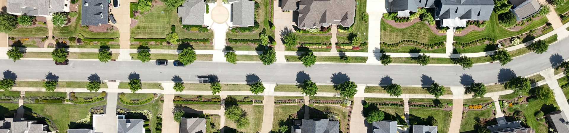 Community Spotlight: Carrollwood