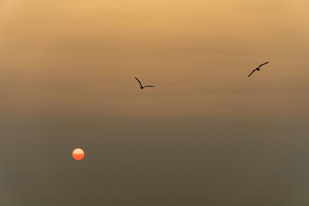 Mindful Monday - What Would You Do If You Were Free?
