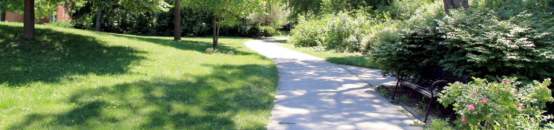 Sidewalk in Florida park