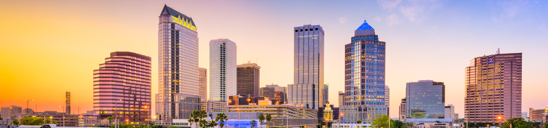 Tampa Bay Skyline
