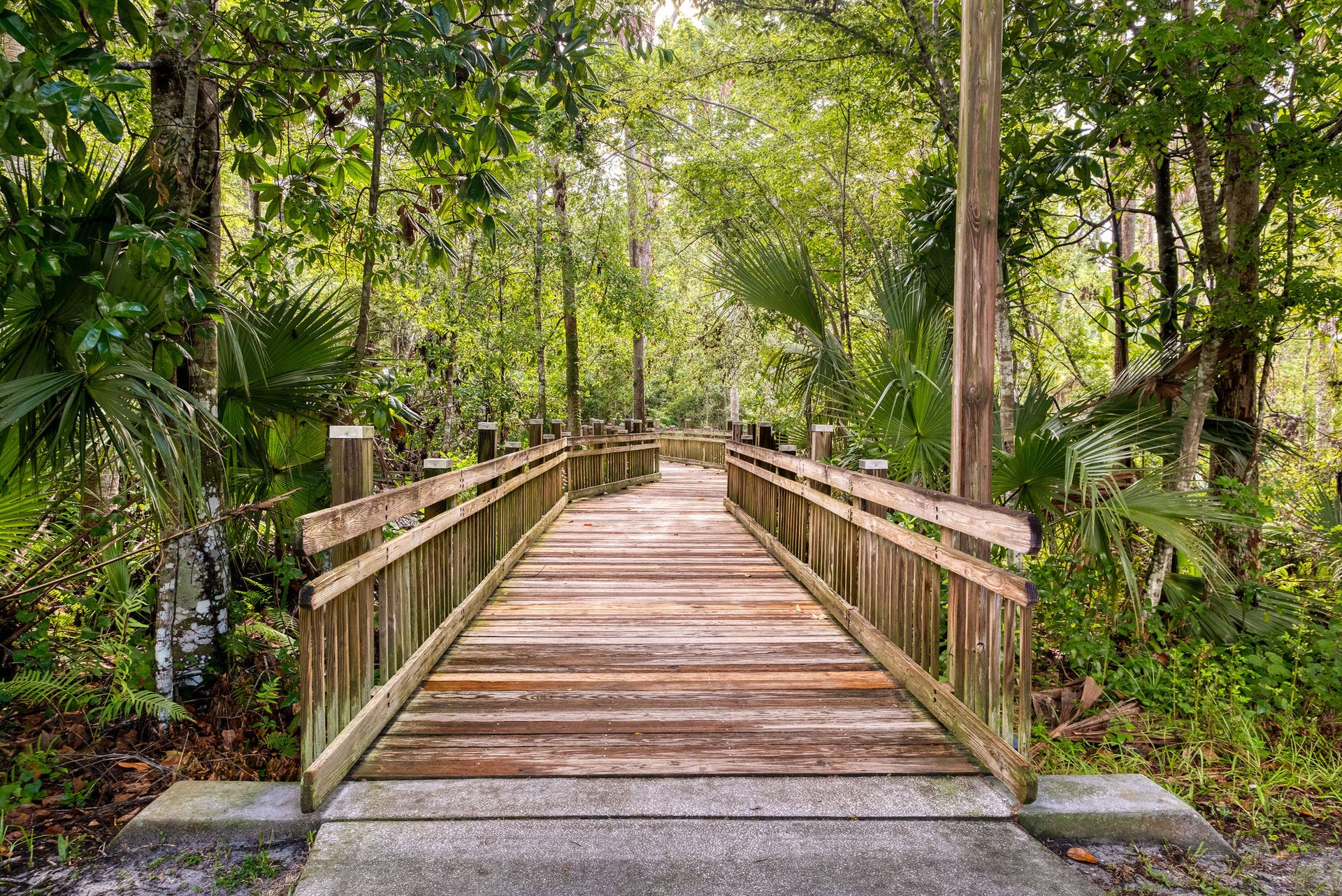 Tree-lined walking trail along the lake in Celebration, Florida, a walkable retirement community near Orlando