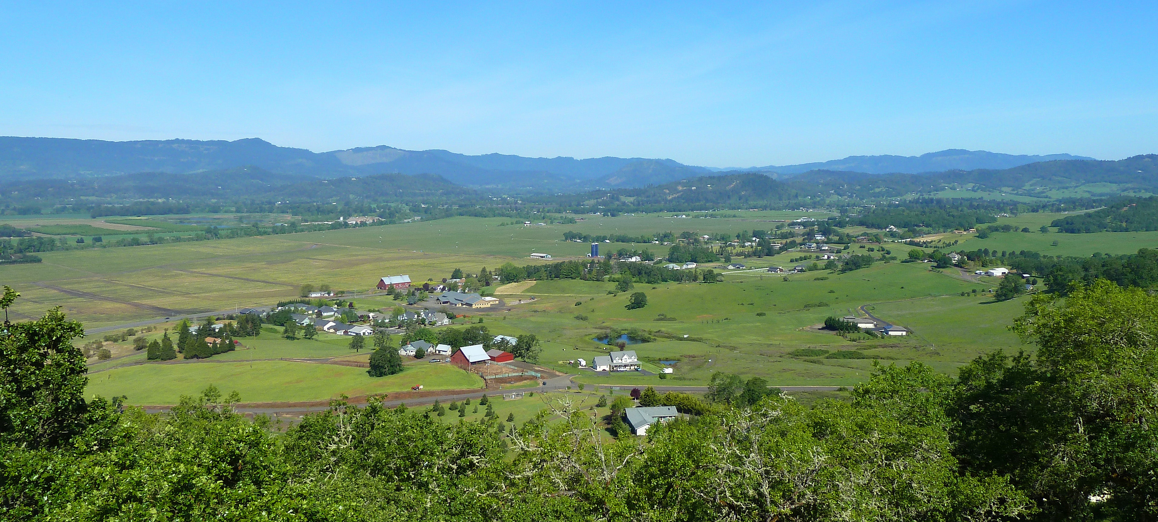 Douglas County Real Estate Market Trends for July 2026