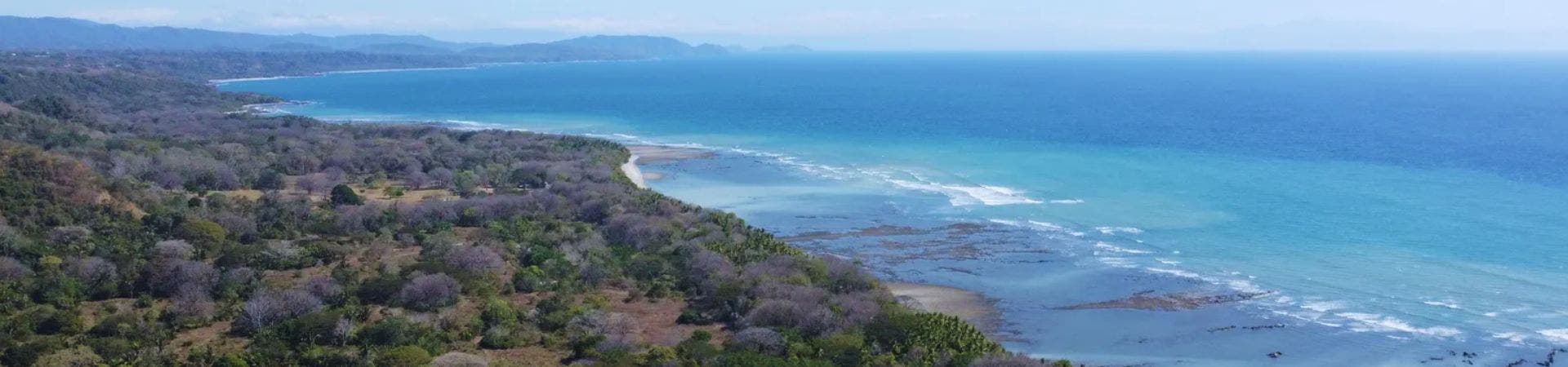 Montezuma, Cabuya & Delicias Real Estate