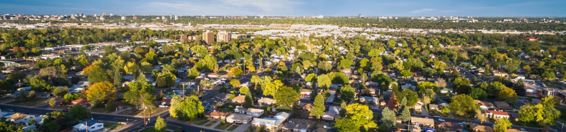 Community Spotlight: Temple Terrace