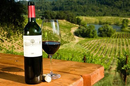 Viticulture . . . . is that even a word?