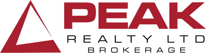 Company logo for 519 Team