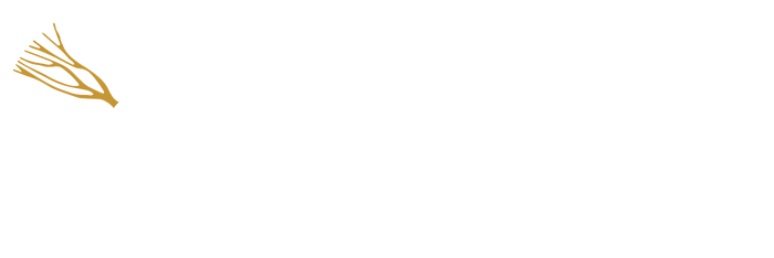 Link to Branch Real Estate Group homepage