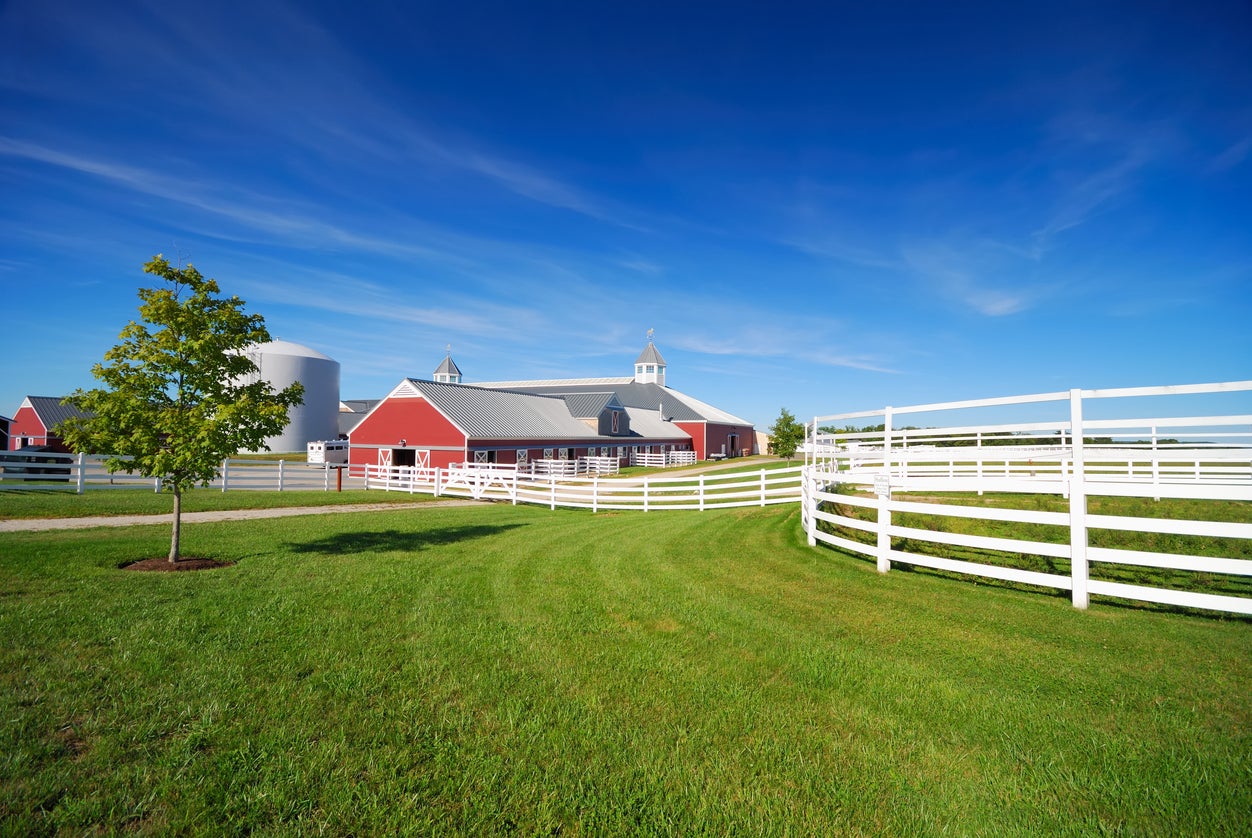 Elsie Halbert Real Estate - Business Photo