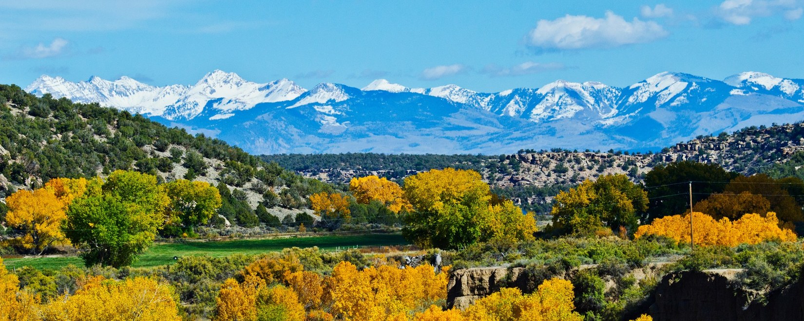 Regents Real Estate Group