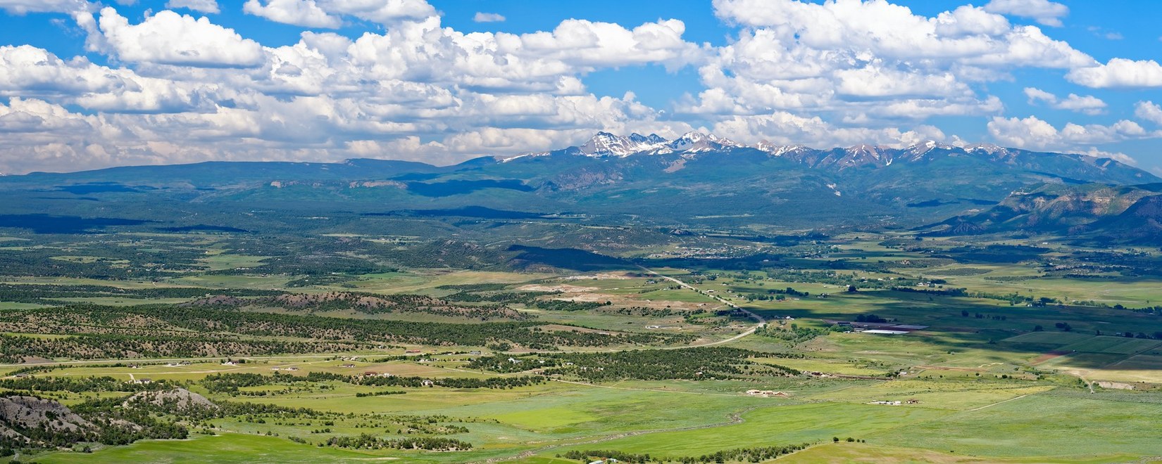 Regents Real Estate Group