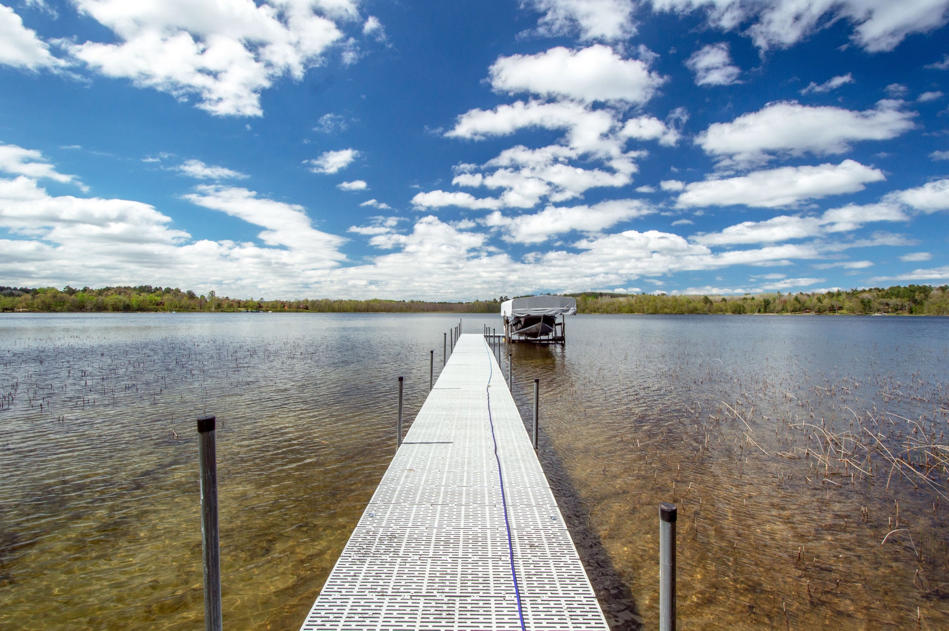 Nelson Torfin Real Estate Group