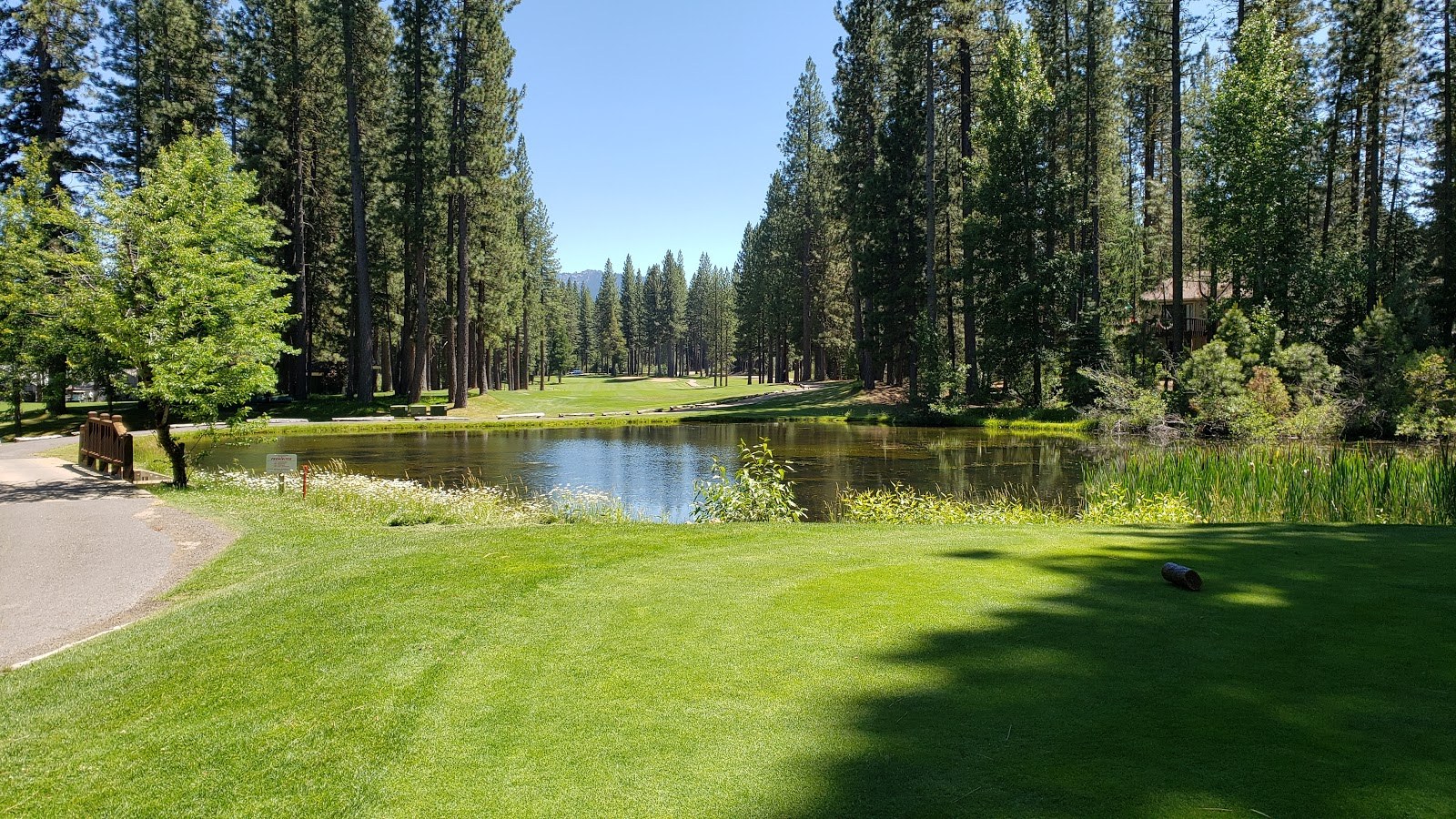 Mountain Living Real Estate