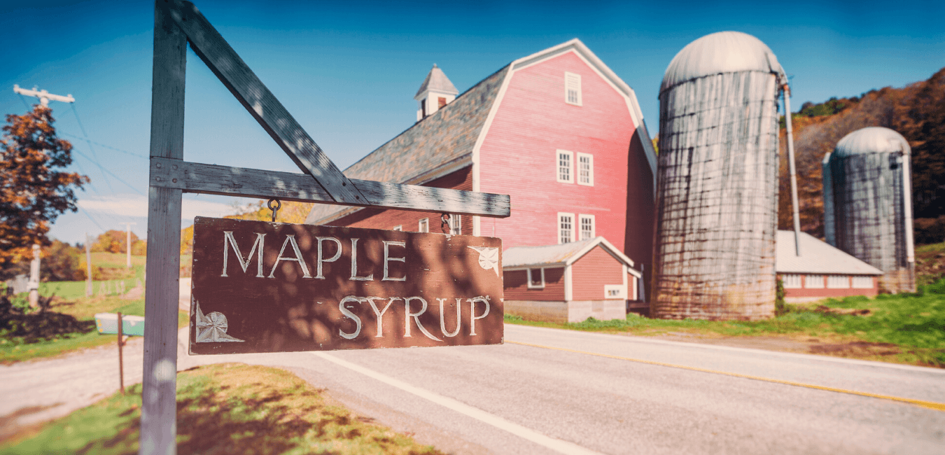 Vermont Real Estate Company Burlington & Montpelier, Vermont