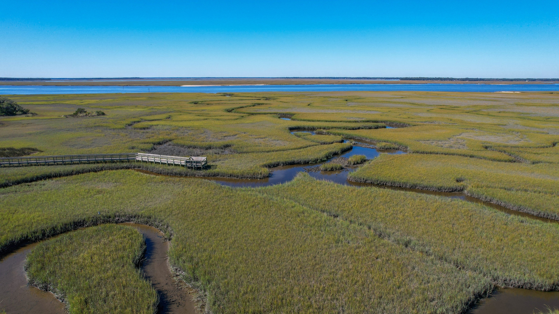 Amelia Island Real Estate & Fernandina Beach Homes for Sale