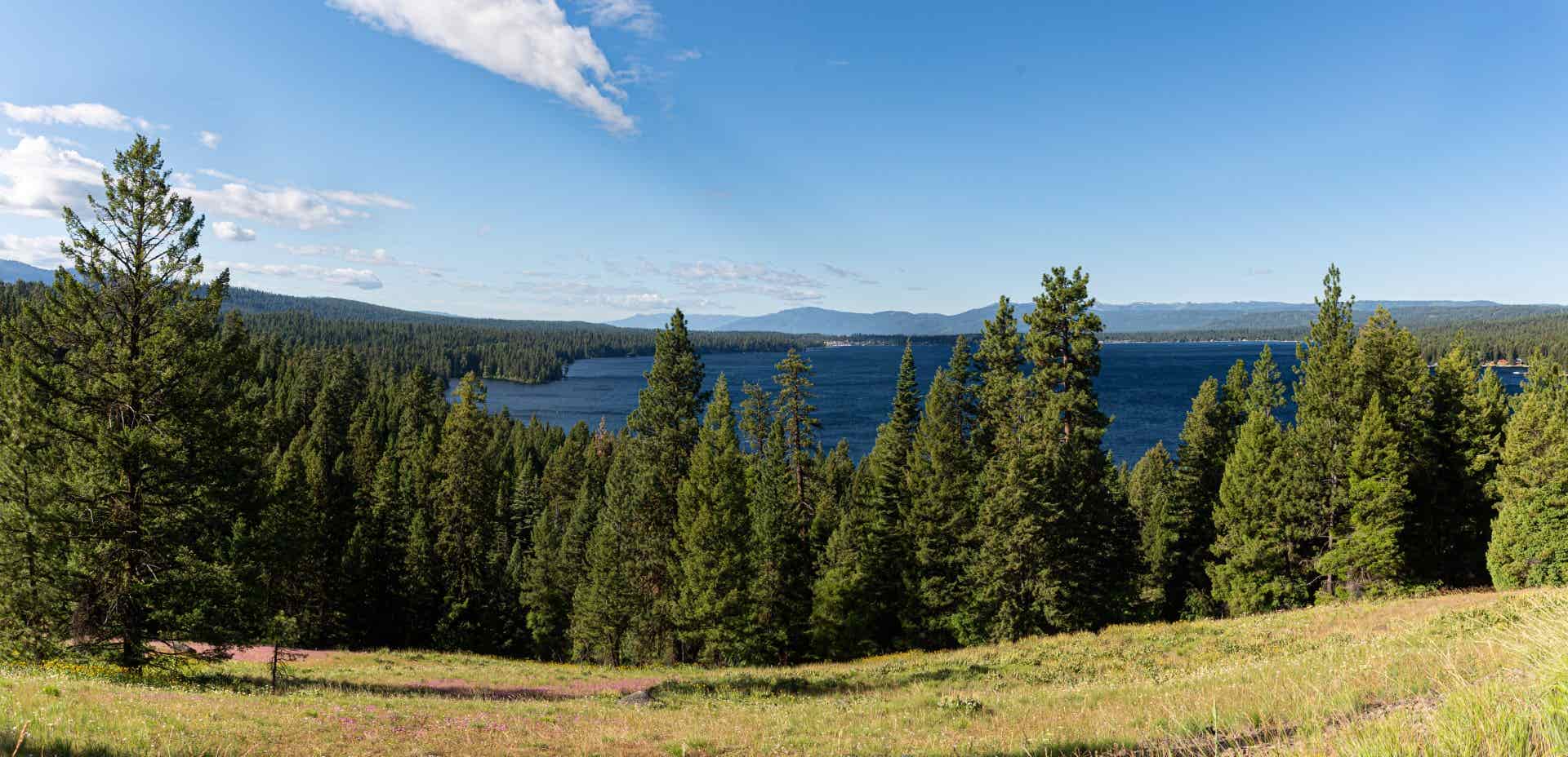 EXPLORE | MCCALL