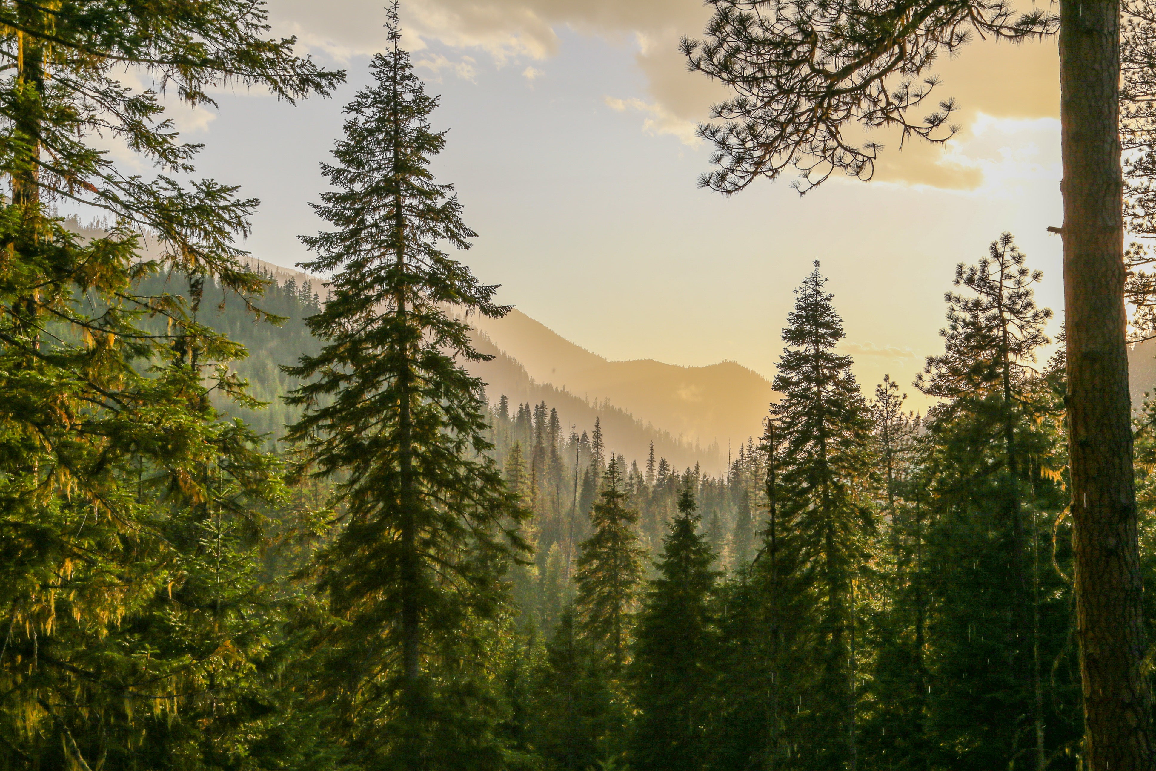 EXPLORE | IDAHO