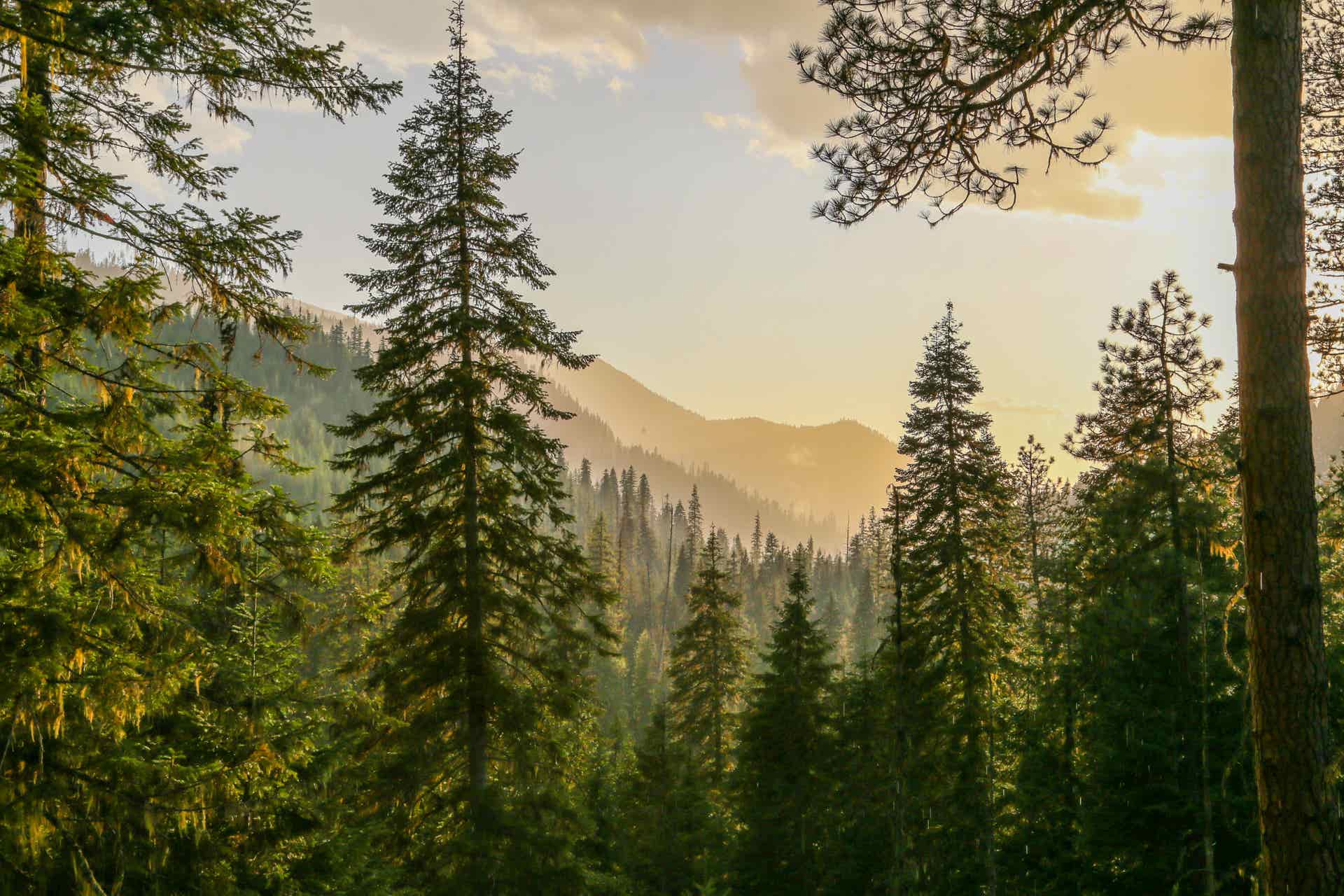 EXPLORE | IDAHO