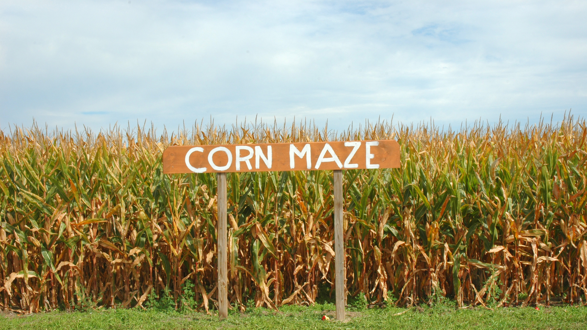 Corn maze with sign that says corn maze