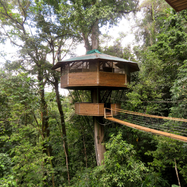 Eco-friendly treehouse retreat surrounded by lush rainforest in Costa Rica’s Osa Peninsula.