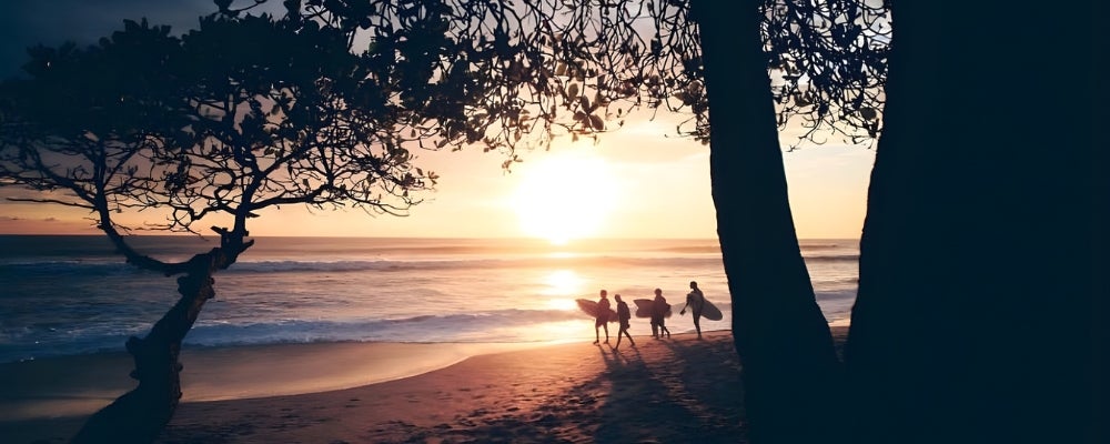 Live Beachside and Earn Income