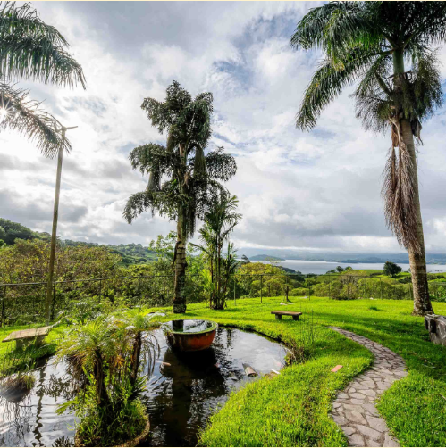 Manicured garden with palm trees, stone walking paths, and a small reflective pond, overlooking green hills and distant lake views in a tranquil rural setting.