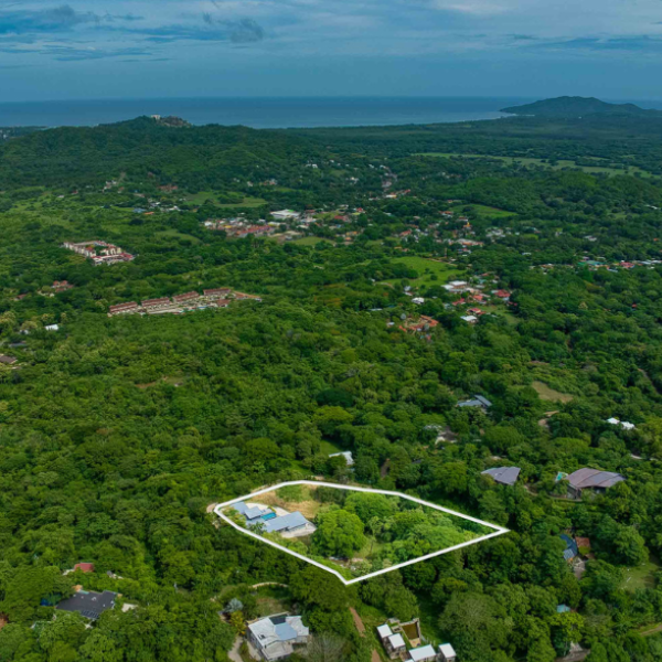 Aerial view of a large, forested property outlined in white, surrounded by dense greenery with the Pacific coastline and distant mountains visible on the horizon.
