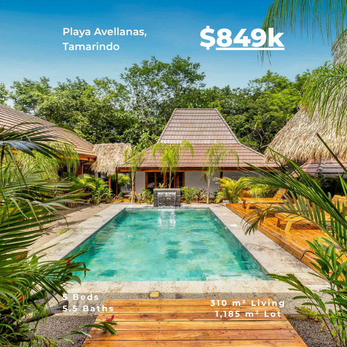 Luxury villa with pool in Playa Avellanas