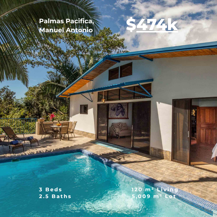 Tropical home with pool, outdoor terrace, and palm trees, featuring a covered seating area and large glass doors.
