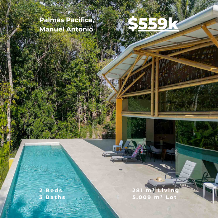Contemporary jungle home with bamboo style roof, infinity pool, and lounge chairs overlooking dense greenery.