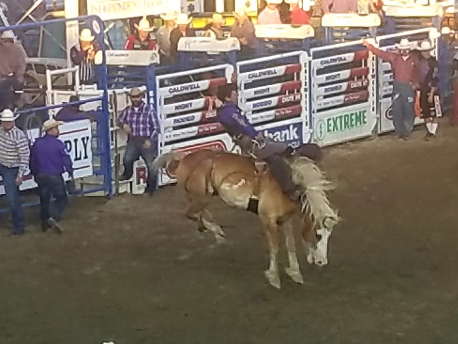 Caldwell Night Rodeo