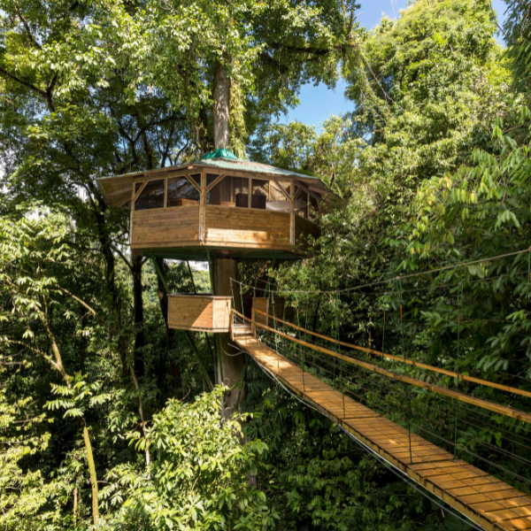 Treehouse-style luxury accommodation in Costa Rica connected by a suspended bridge within dense tropical rainforest.