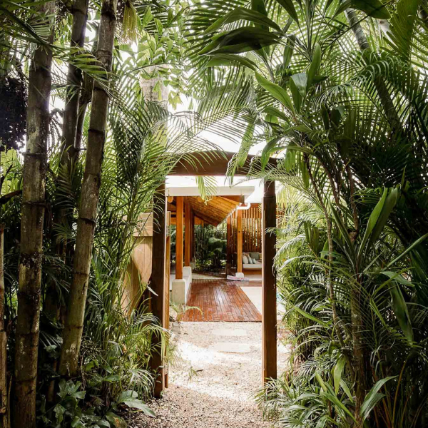 Wooden entrance framed by lush tropical greenery, leading into an open luxury villa with natural textures and serene design.