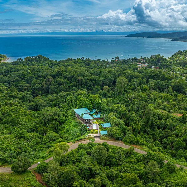 Aerial view of a luxury eco-lodge