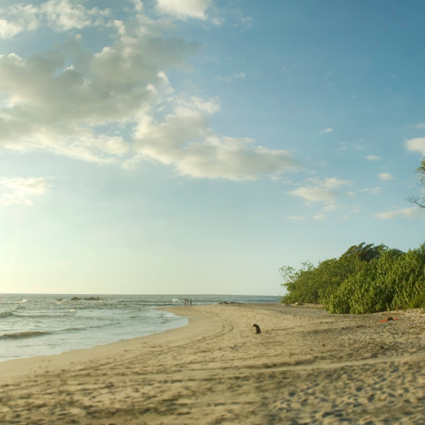 Quiet tropical beach with ocean view and cloudy blue sky in Costa Rica