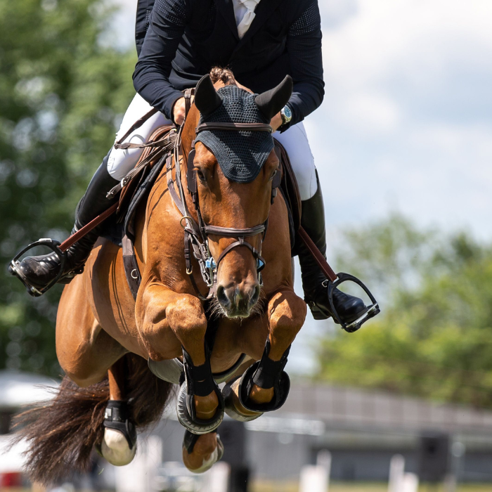 Close-up action shot of a horse and rider mid-jump during an equestrian competition, showcasing professional riding gear and athletic movement.